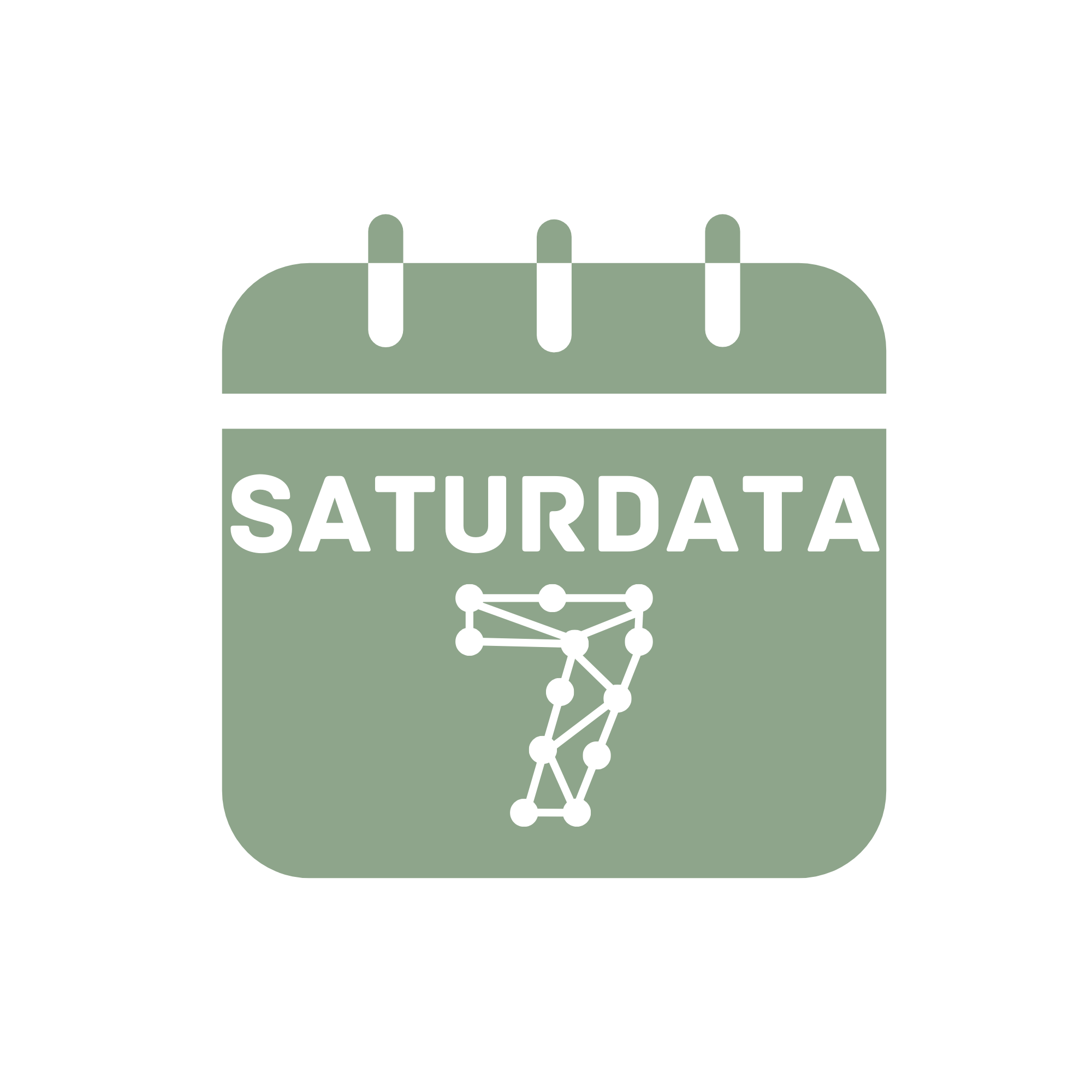Saturdata Logo